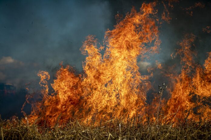 Incendie Vigilance