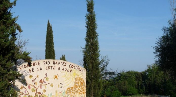 Les Artisans/Producteurs locaux/Escalade et Montagne