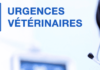 Urgences Veterinaires