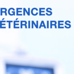 Le 3115 Urgences Vétérinaires disponible sur SAINT-JEANNET Urgences Veterinaires