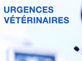 Urgences Veterinaires