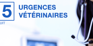 Urgences Veterinaires