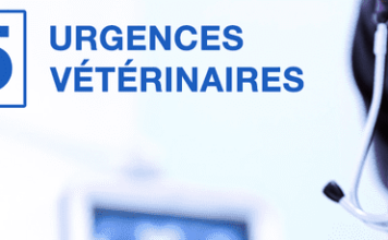Urgences Veterinaires