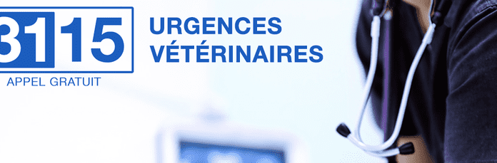 Le 3115 Urgences Vétérinaires disponible sur SAINT-JEANNET Urgences Veterinaires