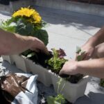 Permis Vegetaliser Saint Jeannet