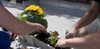Permis Vegetaliser Saint Jeannet