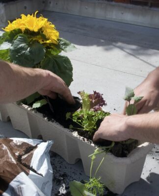 Permis Vegetaliser Saint Jeannet