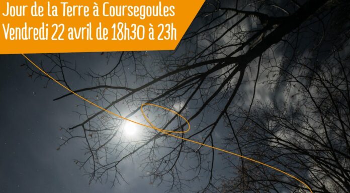 LES NOCTURNES DU PARC