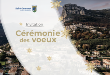 Cérémonie des voeux