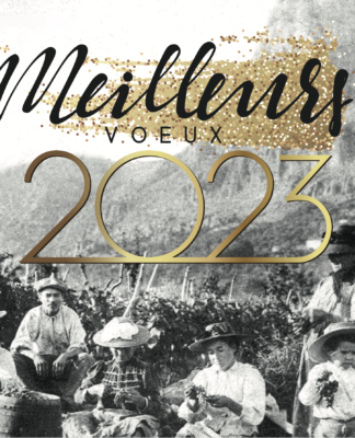 Voeux 2023