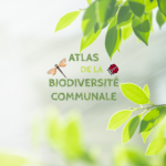 Atlas de la biodiversité