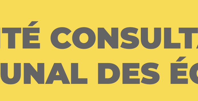 COMPTE RENDU : COMITÉ CONSULTATIF COMMUNAL DES ÉCOLES