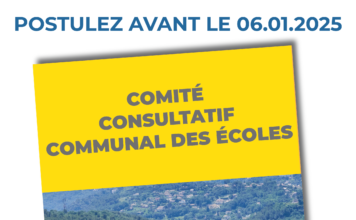 Comité Consultatif Communal des Ecoles