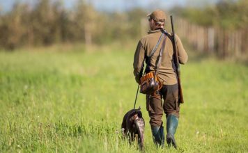 Réglementation chasse : arrêté relatif à l’ouverture et à la clôture de la chasse