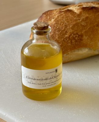 Une belle expérience autour de l’olivier à Saint-Jeannet