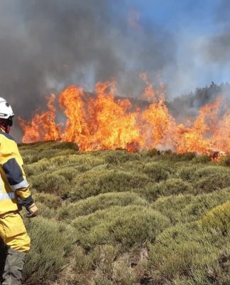 RÉALISATION DE BRULAGE DIRIGÉ SUR LA COMMUNE 2026