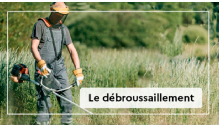 Image non disponible