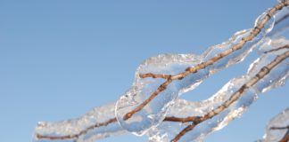 cimetière du Mas fermé