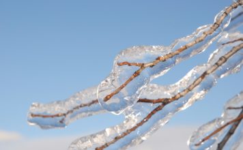 cimetière du Mas fermé