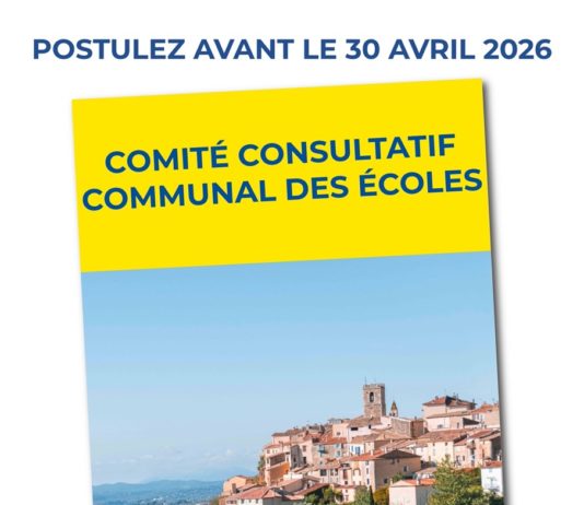 Comité Consultatif Communal des Écoles