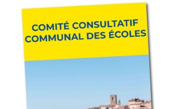 Comité Consultatif Communal des Écoles