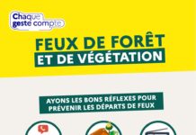 đ„ PRĂVENTION DES INCENDIES DE FORĂT : LES RĂGLES Ă RESPECTER