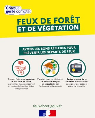 🔥 PRÉVENTION DES INCENDIES DE FORÊT : LES RÈGLES À RESPECTER