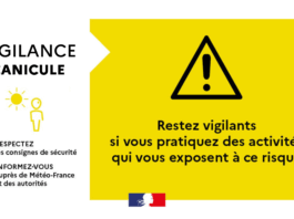 Vigilance JAUNE « canicule »