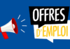 Offre d’emploi : Animateur du relais Petite Enfance Itinérant (La Gaude)